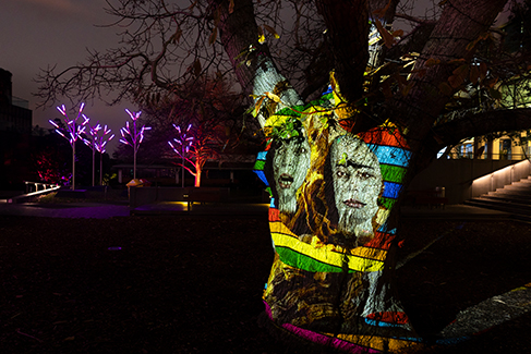 Takapuna Winter Lights