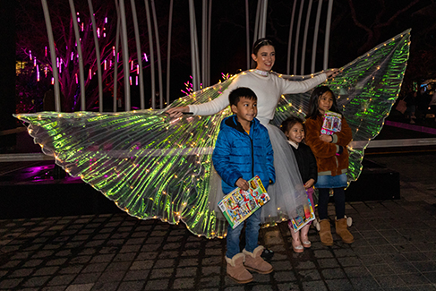 Takapuna Winter Lights