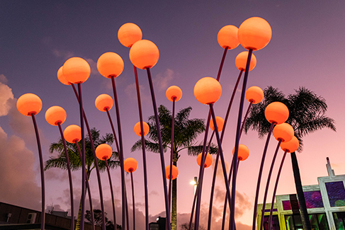 Takapuna Winter Lights