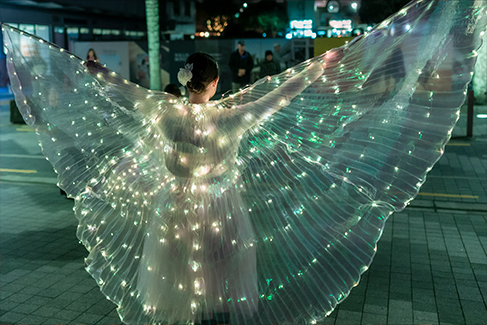 Takapuna Winter Lights