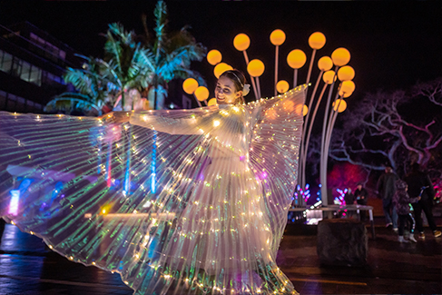 Takapuna Winter Lights