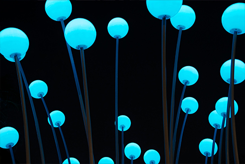 Takapuna Winter Lights