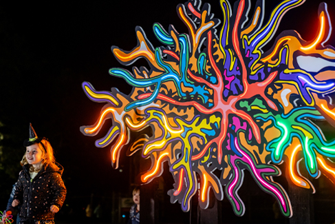 Takapuna Winter Lights