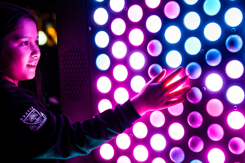 Takapuna Winter Lights