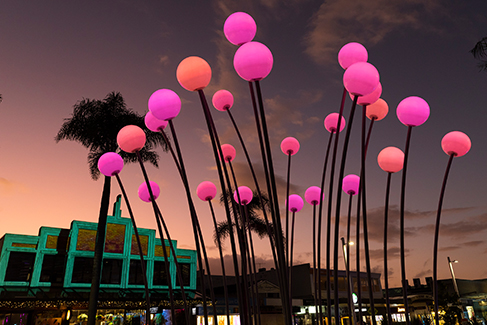 Takapuna Winter Lights
