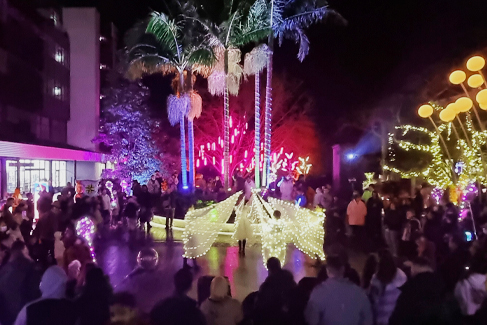 Takapuna Winter Lights