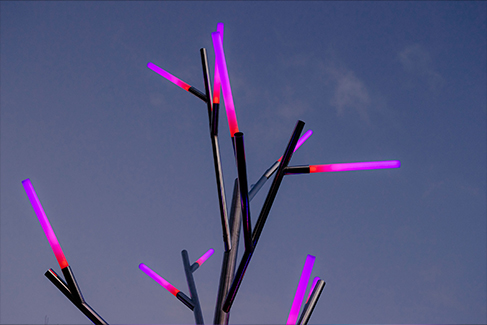 Takapuna Winter Lights