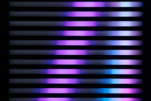 Takapuna Winter Lights