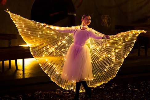 Takapuna Winter Lights