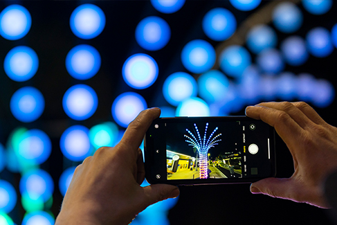 Takapuna Winter Lights