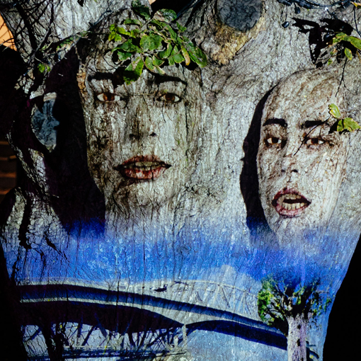 Takapuna Winter Lights