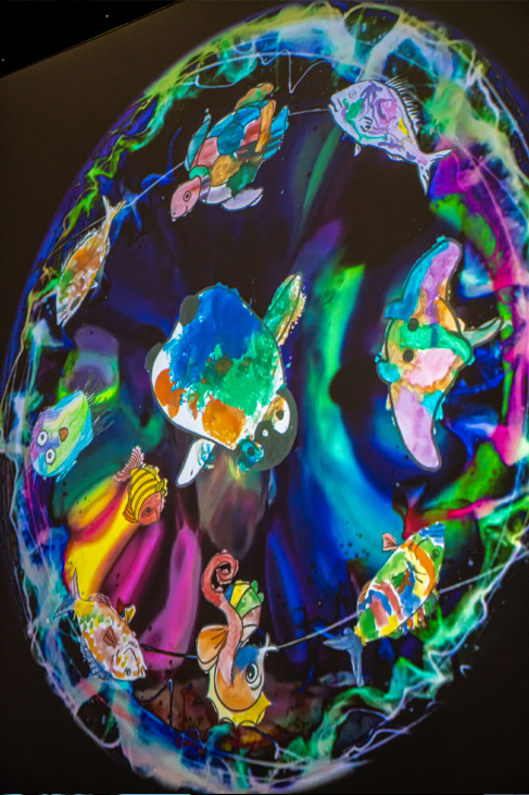 Takapuna Winter Lights