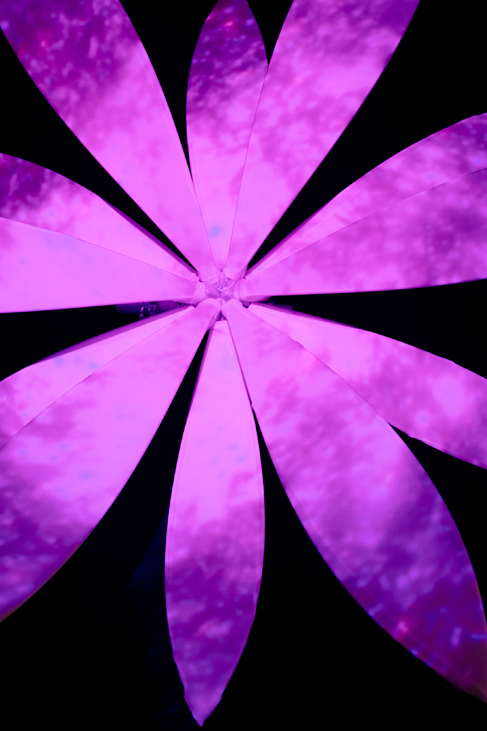 Takapuna Winter Lights