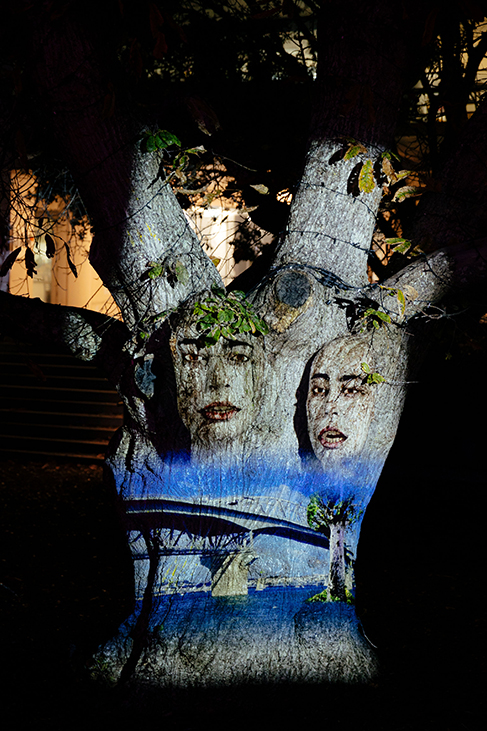 Takapuna Winter Lights