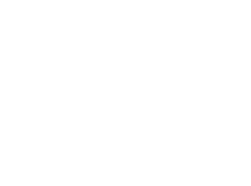 Takapuna Winter Lights, Newth Properties