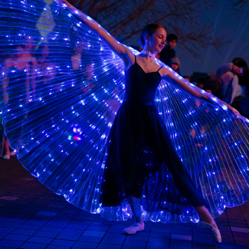 Takapuna Winter Lights
