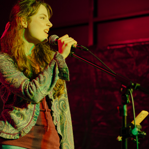 Takapuna Winter Lights