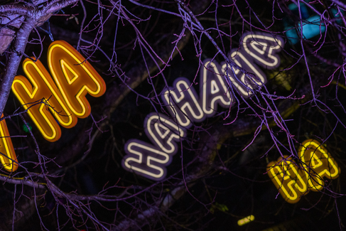 Takapuna Winter Lights 2023