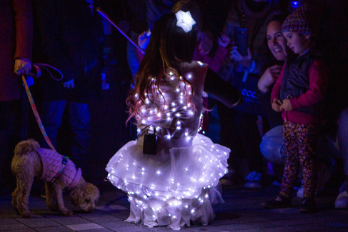 Takapuna Winter Lights 2023