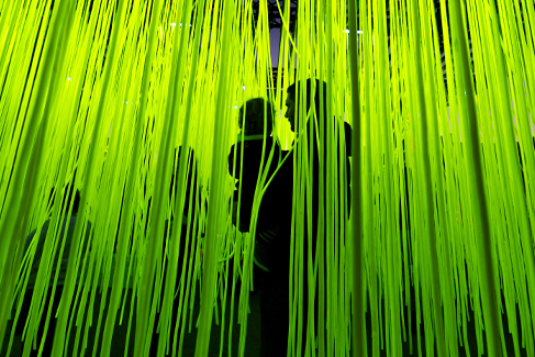 Takapuna Winter Lights 2023