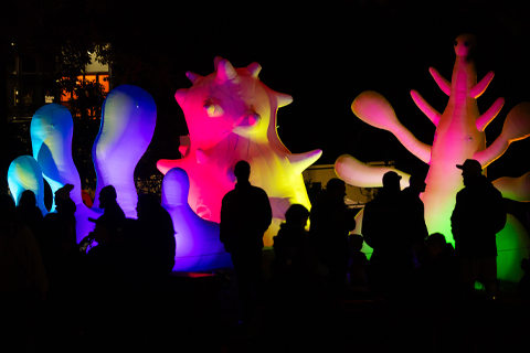Takapuna Winter Lights