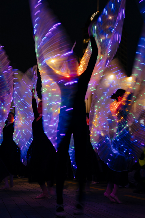Takapuna Winter Lights
