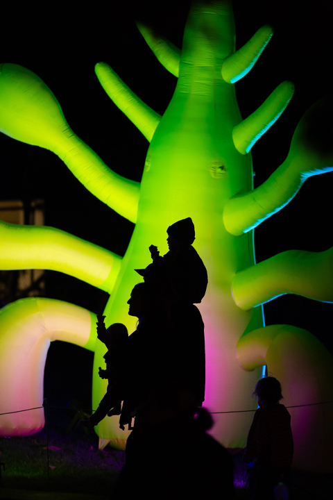 Takapuna Winter Lights