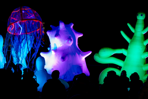 Takapuna Winter Lights
