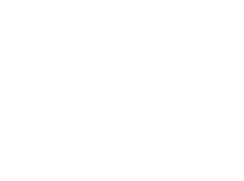 The Lion Foundation