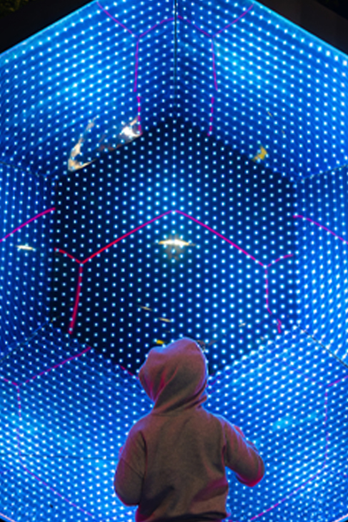 Takapuna Winter Lights