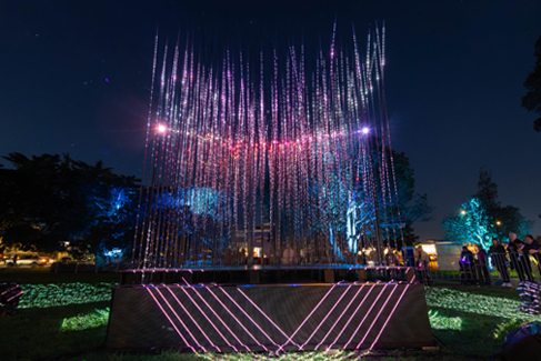 Takapuna Winter Lights