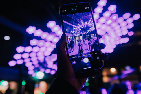 Takapuna Winter Lights