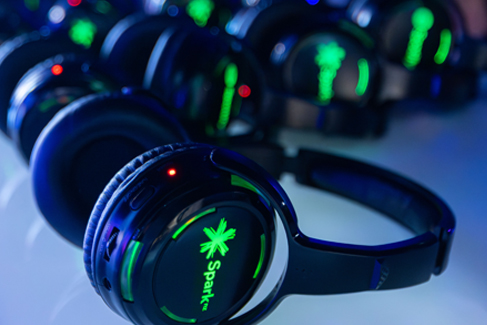 Takapuna Winter Lights