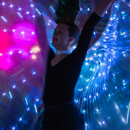 Takapuna Winter Lights